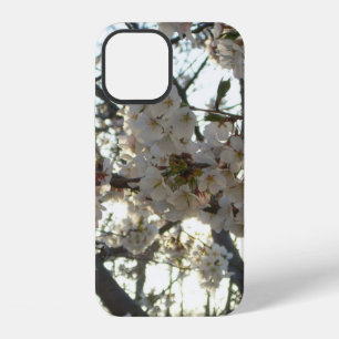 Evening Cherry Blossoms II Spring Sunset iPhone 12 Case