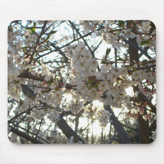 Evening Cherry Blossoms II Spring Sunset Mouse Pad (Front)