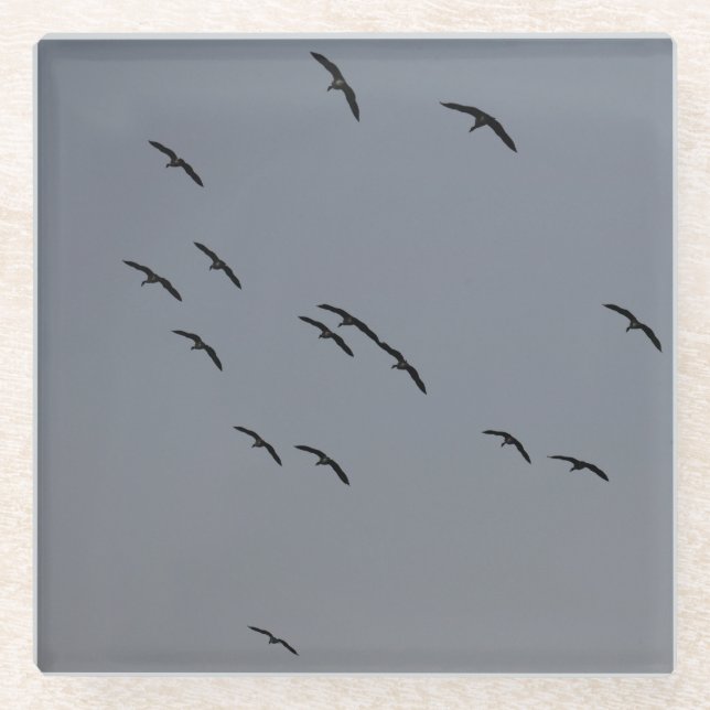 Evening Flight  Glass Coaster (Front)