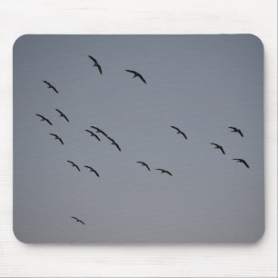 Evening Flight Mouse Pad