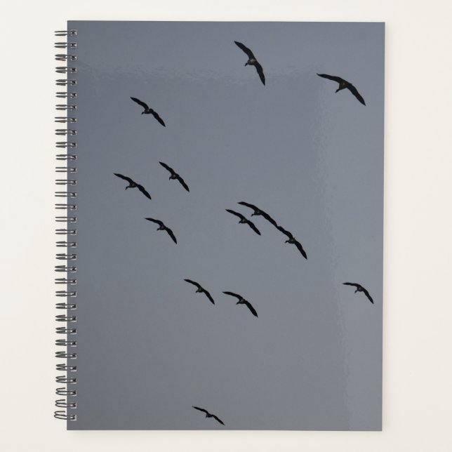 Evening Flight Planner (Front)