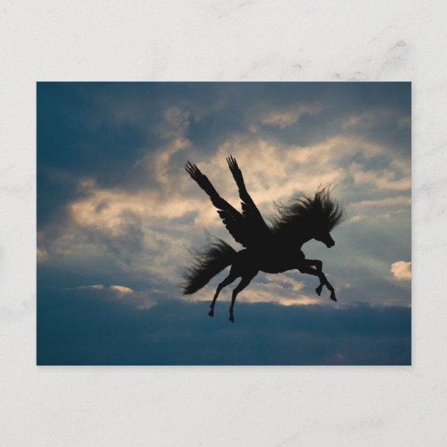 Evening Flight Postcard (Front)