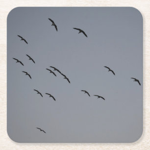 Evening Flight Square Paper Coaster