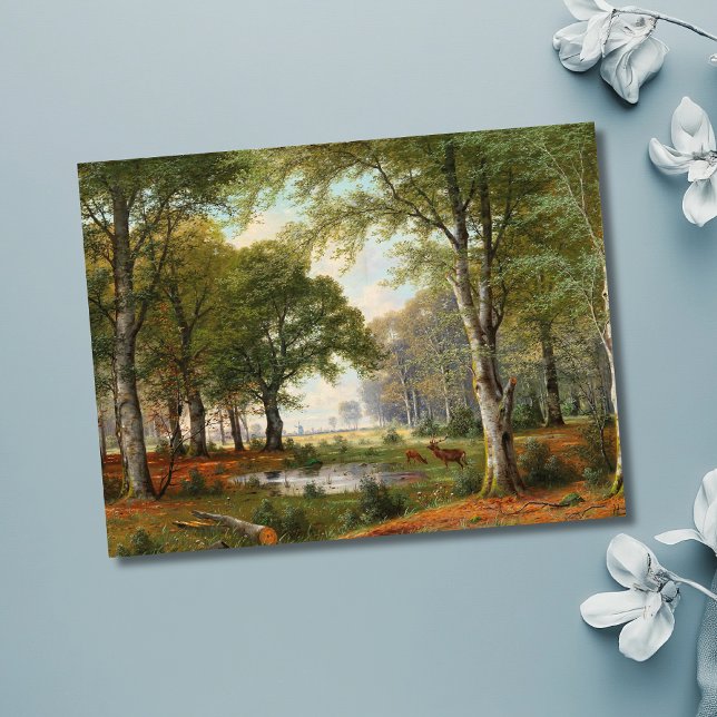 Evening Forest Landscape  Postcard (Creator Uploaded)