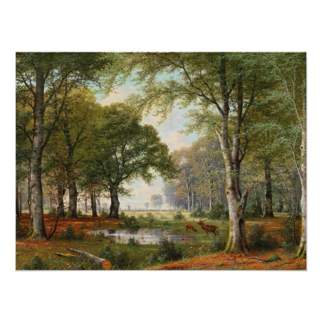 Evening Forest Landscape  Poster (Front)