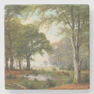 Evening Forest Landscape Stone Coaster
