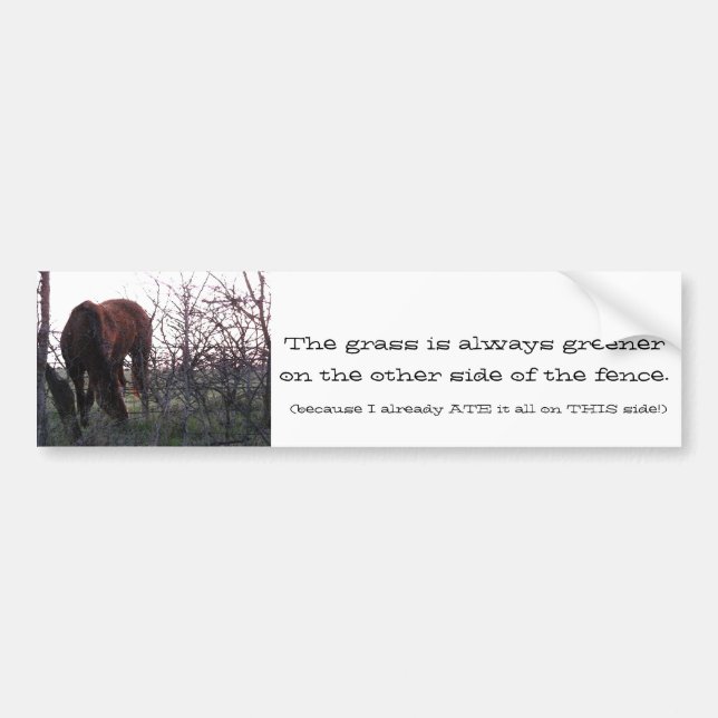 Evening Grazing Bumper Sticker (Front)