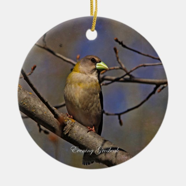 Evening Grosbeak Photography Round Ceramic Tree Decoration (Front)