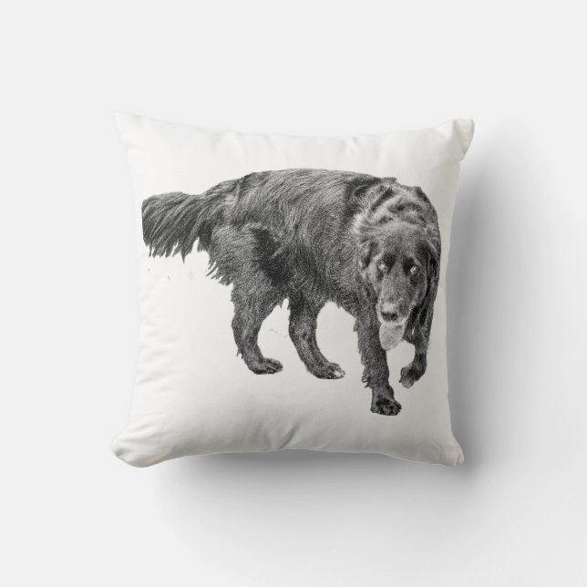 Evening Guardian Comfort Cushion (Front)