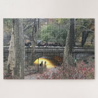 Evening in Central Park Bridge New York City NYC