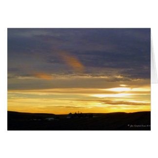 Evening light