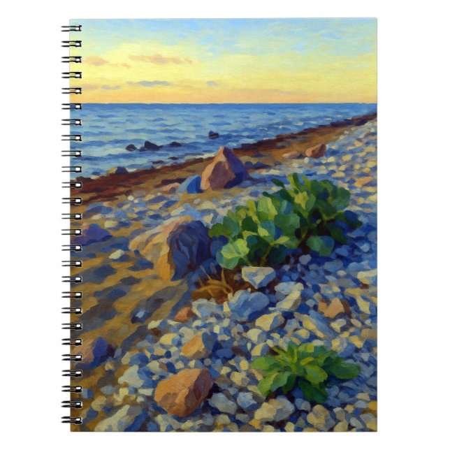 Evening light on the coast of Vormsi Notebook (Front)