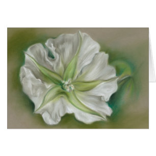 Evening Moonflower Pastel Art