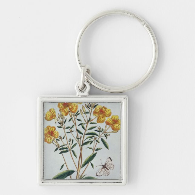 Evening Primrose, plate 73 from 'Collection Precie Key Ring (Front)