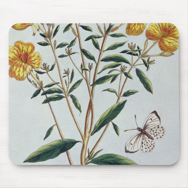 Evening Primrose, plate 73 from 'Collection Precie Mouse Pad (Front)