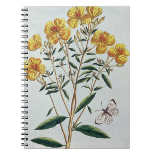 Evening Primrose, plate 73 from 'Collection Precie Spiral Notebook