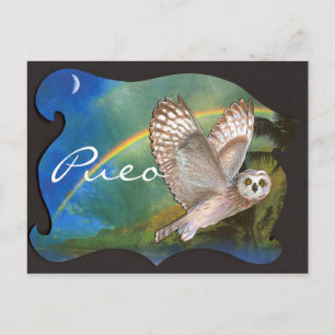 Evening Pueo Postcard