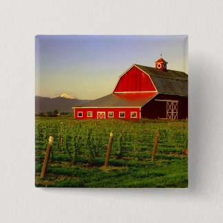 Evening sun on a barn in Washington's Skagit 15 Cm Square Badge