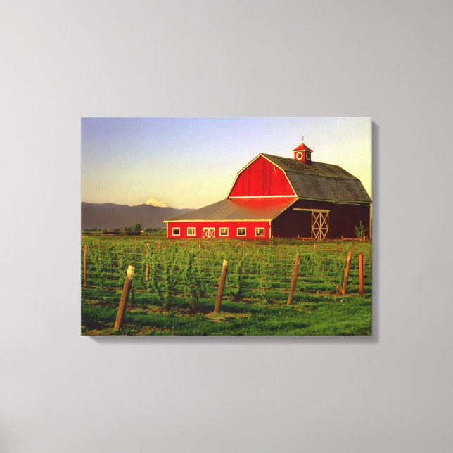 Evening sun on a barn in Washington's Skagit Canvas Print (Front)