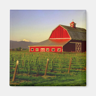 Evening sun on a barn in Washington's Skagit Magnet