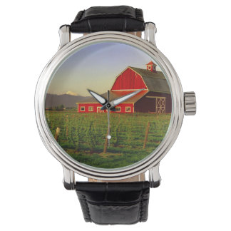 Evening sun on a barn in Washington's Skagit Watch