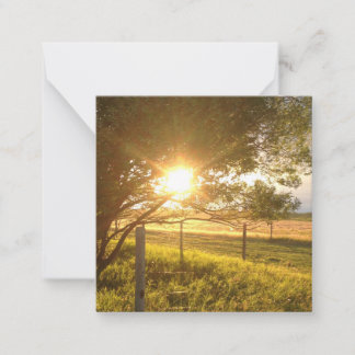 Evening Sunlight Blank Card
