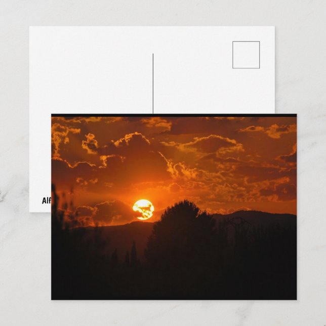 Evening Sunset Landscape Postcard (Front/Back)
