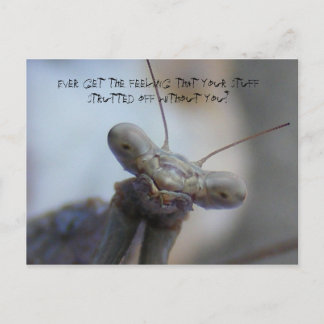 Ever get the feeling that your stuff ... postcard