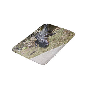 Everglades Alligator Resting in Warm Light Bath Mat