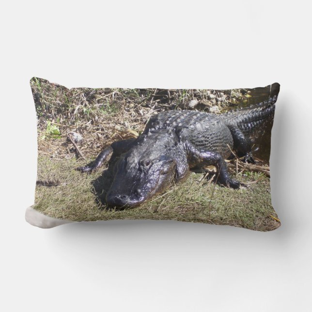 Everglades Alligator Resting in Warm Light Lumbar Cushion (Front)