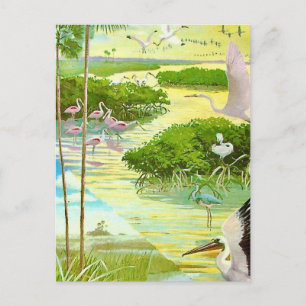 Everglades Bird Postcard