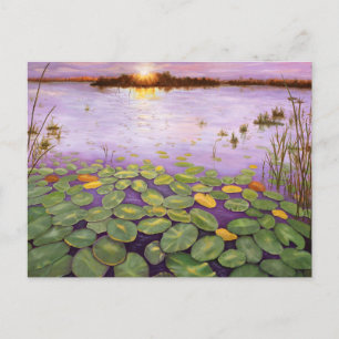 Everglades Evening Postcard