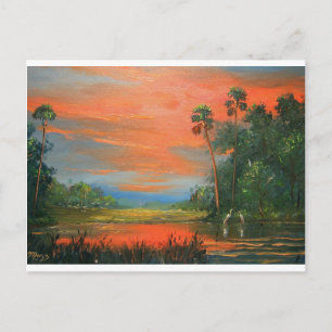 Everglades Fire Sky Postcard