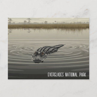 Everglades Florida Alligator Travel Postcard