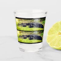 Everglades Gator Shot Glass