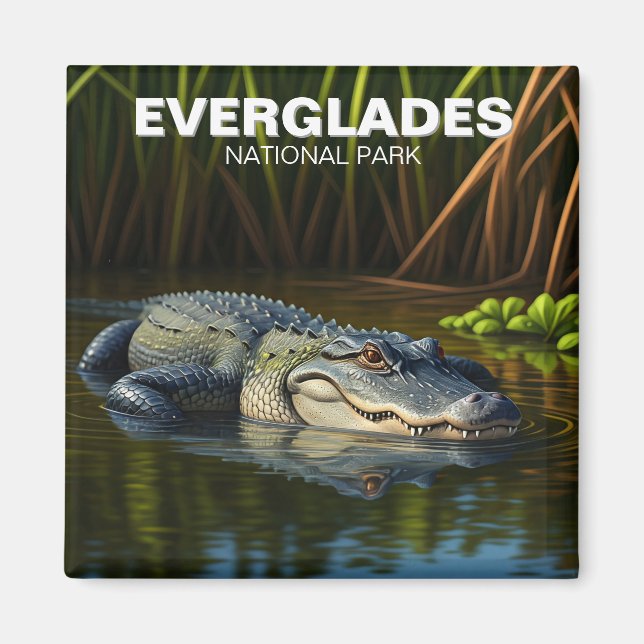 Everglades National Park Florida Alligator Travel Magnet (Front)