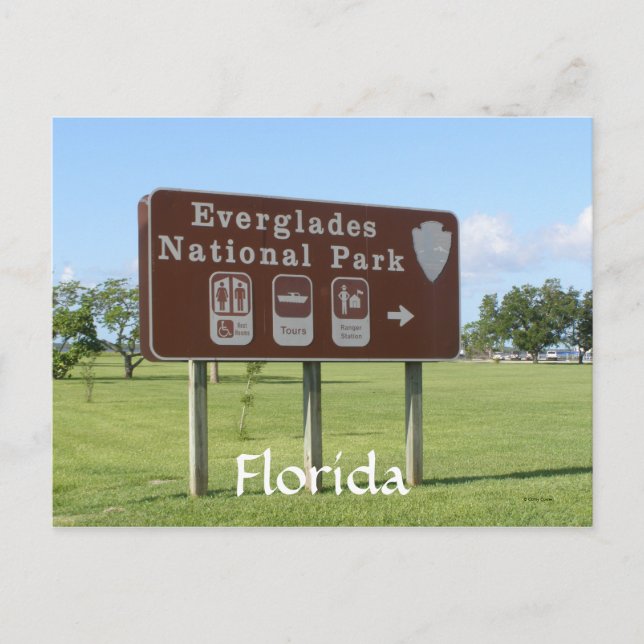 Everglades National Park, Florida Postcard (Front)
