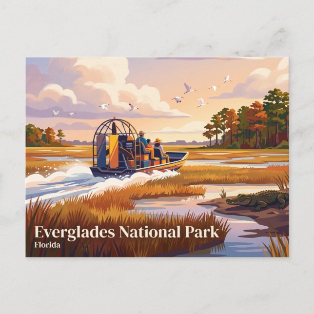 Everglades National Park Florida Postcard (Front)