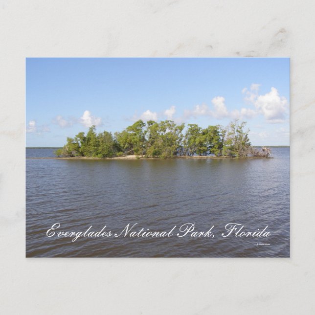 Everglades National Park, Florida Postcard (Front)