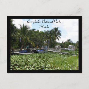 Everglades National Park, Florida Postcard