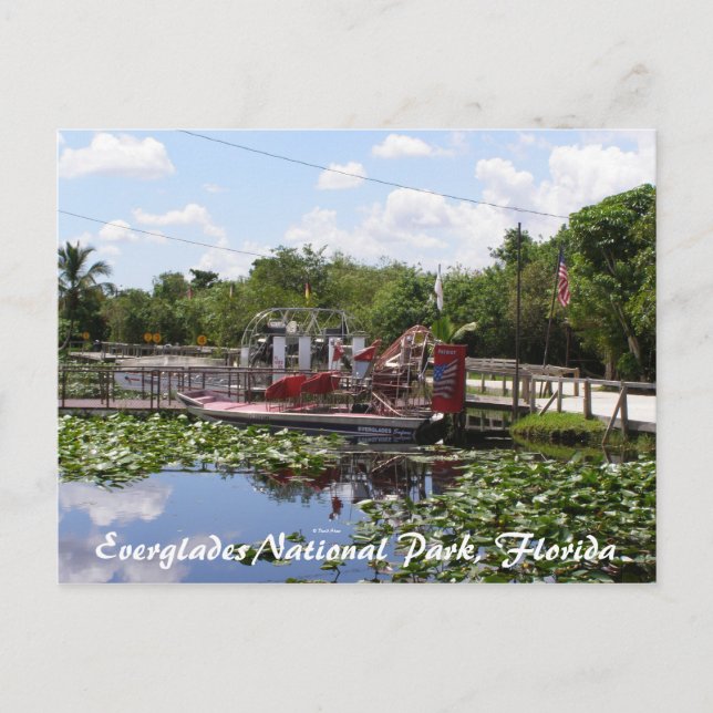 Everglades National Park, Florida Postcard (Front)