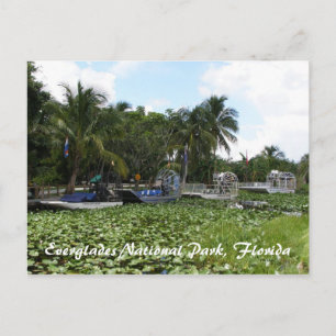 Everglades National Park, Florida Postcard