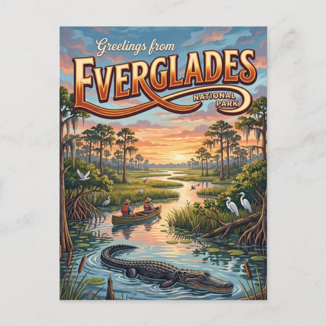 Everglades National Park Florida Postcard (Front)
