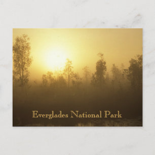 Everglades National Park Postcard