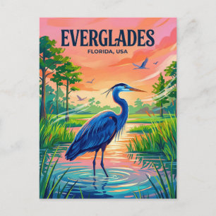 Everglades National Park USA Postcard