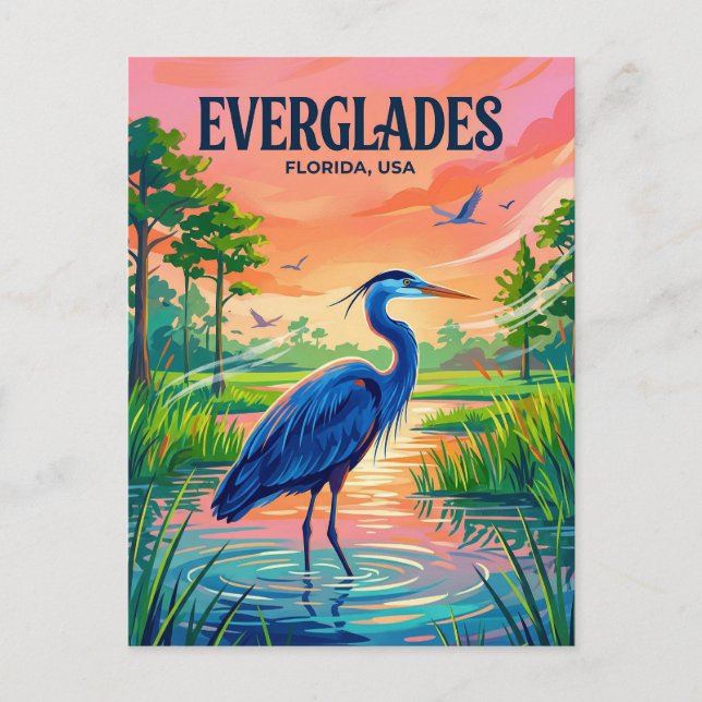 Everglades National Park USA Postcard (Front)