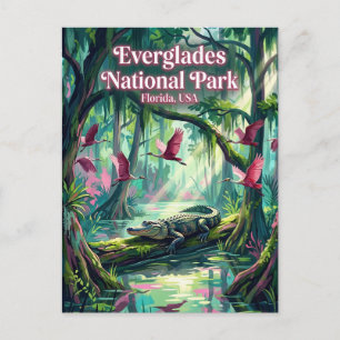 Everglades National Park USA Postcard