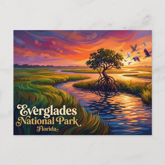 Everglades National Park USA Postcard (Front)
