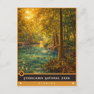 Everglades National Park   Vintage Postcard
