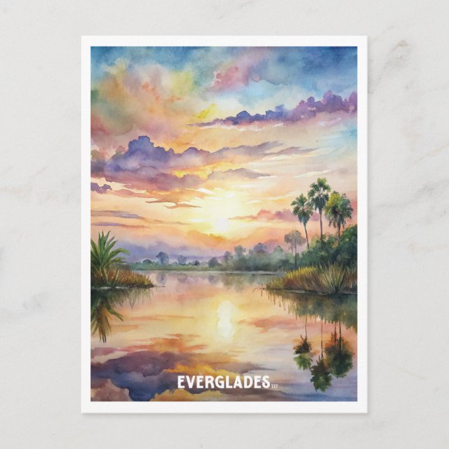 Everglades National Park Watercolor Painting Postcard (Front)